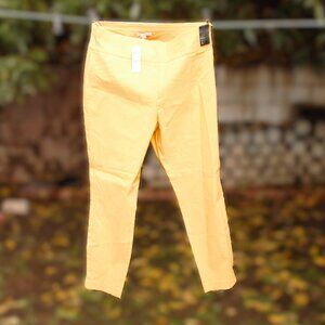 New York & Company Whitney Pull-On Pant Yellow L